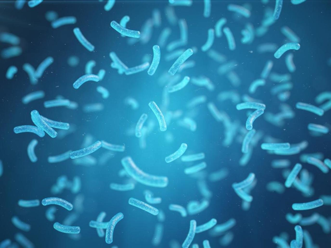 bacteria in water large